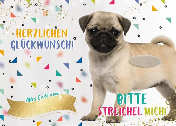 bentino Geburtstagskarte mit  WauWau Mops  Schn?ppchen – Bild 3