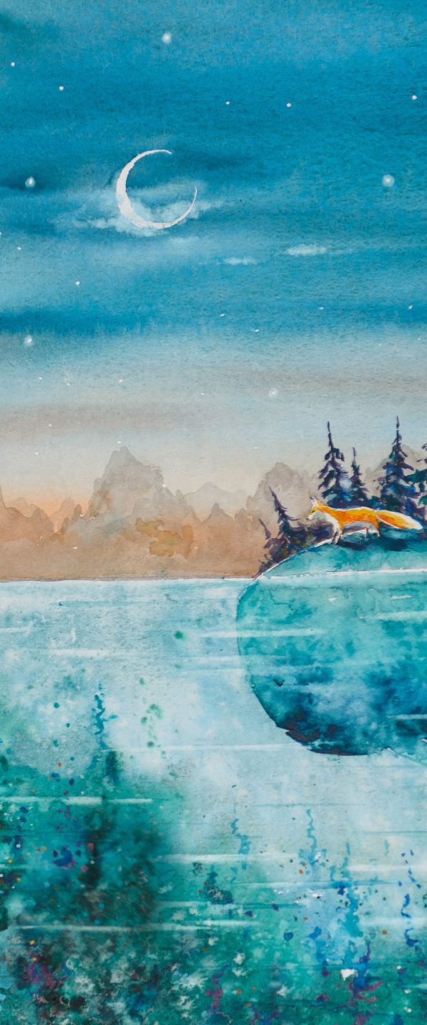 Fuchs reitet auf Wal bei Nacht, Glasbild Panorama Verkauf – Bild 5