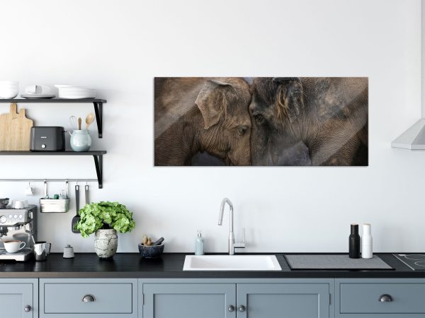 Schmusendes altes Elefantenpaar, Glasbild Panorama Verkauf – Bild 3