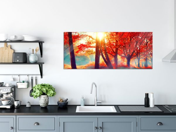 Bunte Herbstbäume sonnenbestrahlt, Glasbild Panorama Online-Schn?ppchen – Bild 3